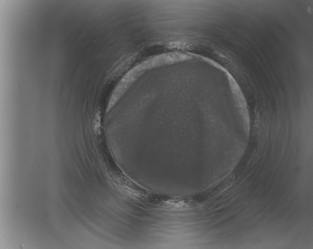 X0000080100502200612301921