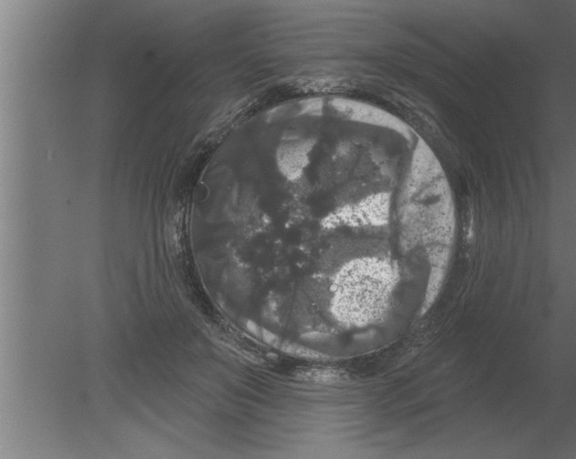 X0000080100503200612301921