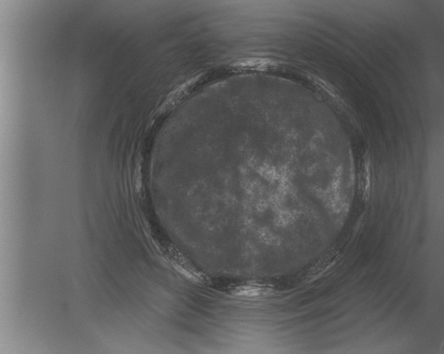 X0000080100504200612301921