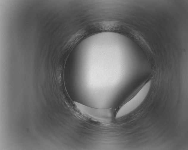 X0000080100505200612301921