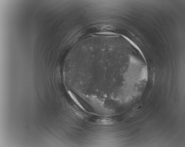 X0000080100506200612301921