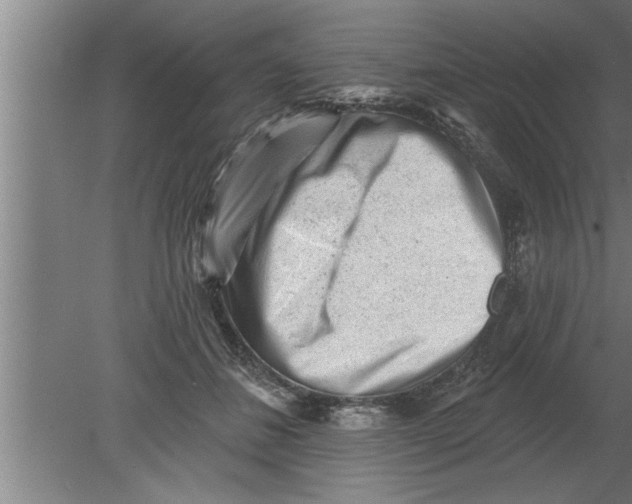 X0000080100508200612301921