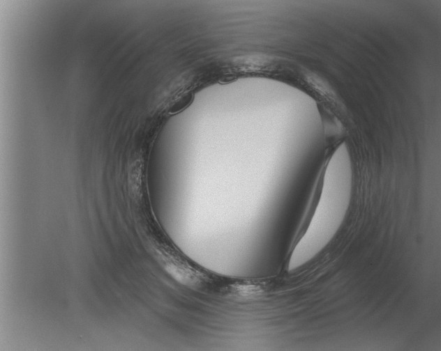 X0000080100509200612301921