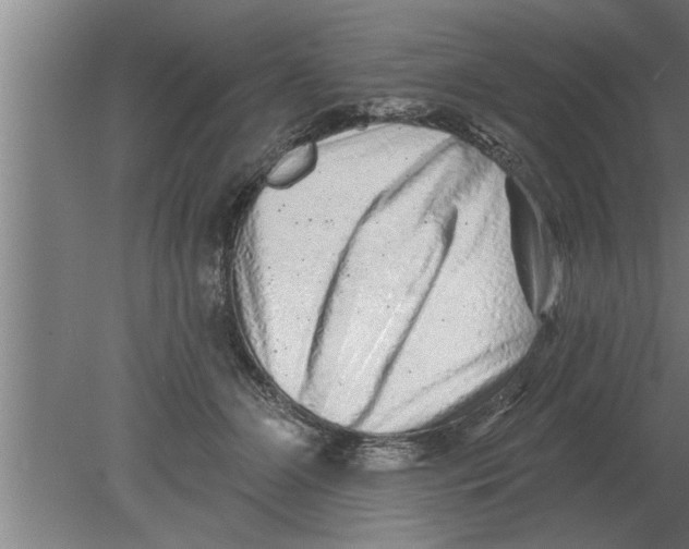 X0000080100510200612301921