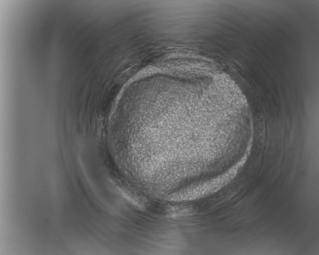 X0000080100511200612301921