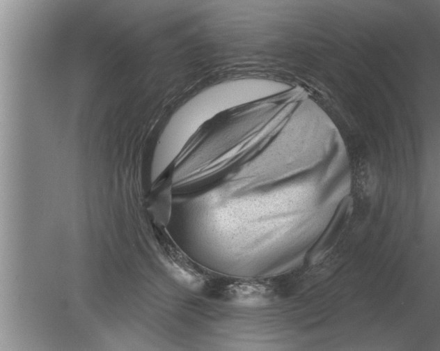 X0000080100512200612301921