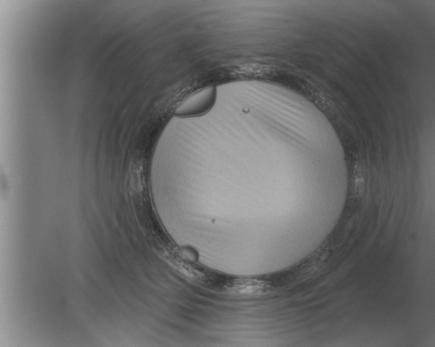 X0000080100514200612301921