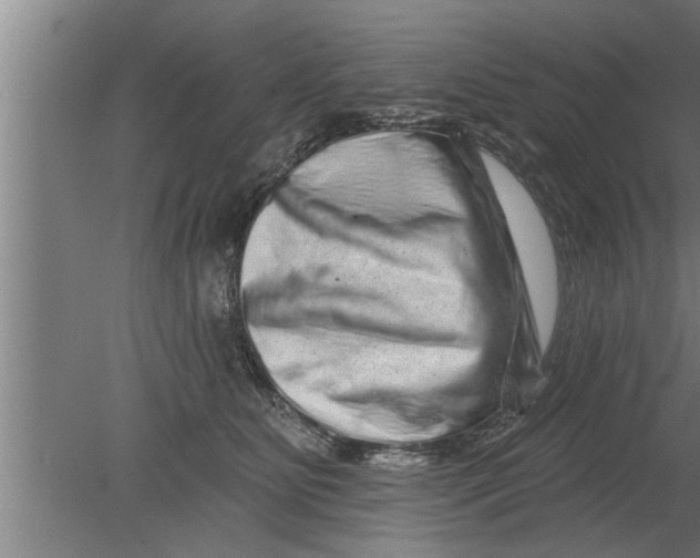 X0000080100515200612301921