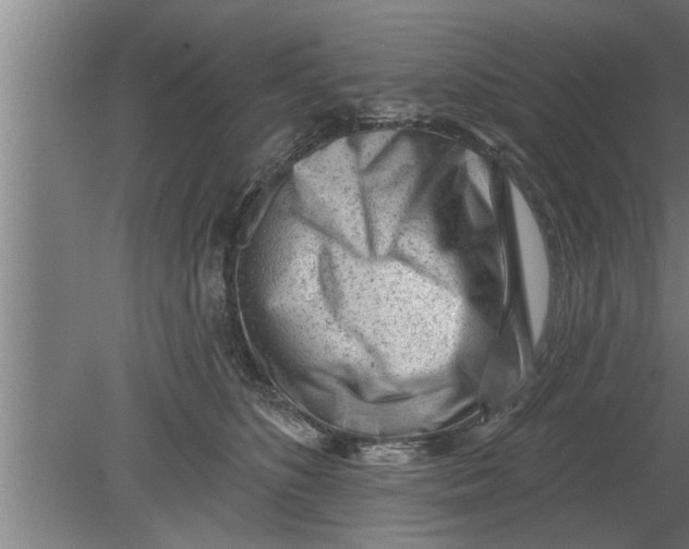 X0000080100516200612301921