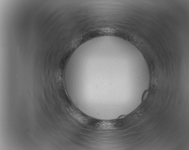 X0000080100518200612301921