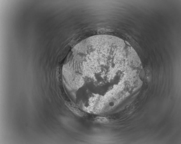 X0000080100519200612301921