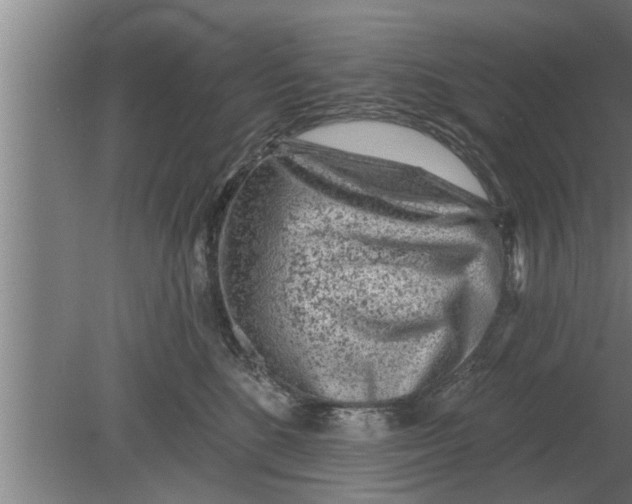 X0000080100520200612301921