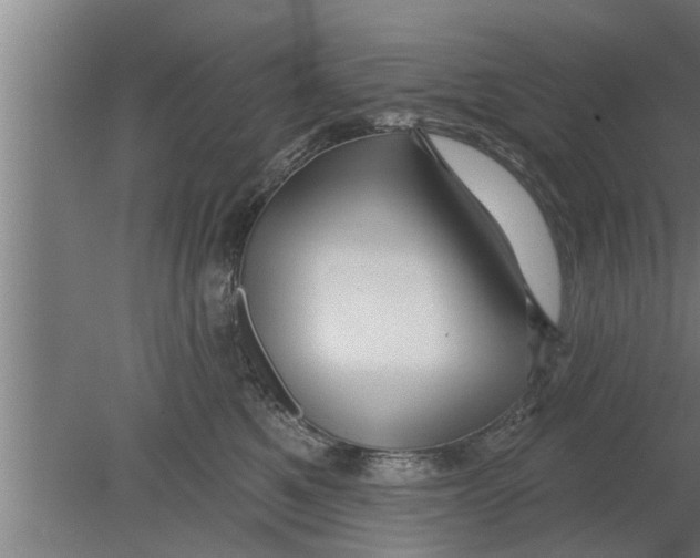 X0000080100521200612301921