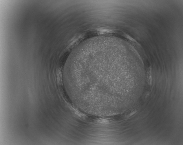 X0000080100523200612301921