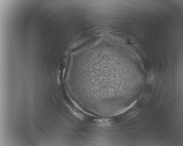 X0000080100524200612301921