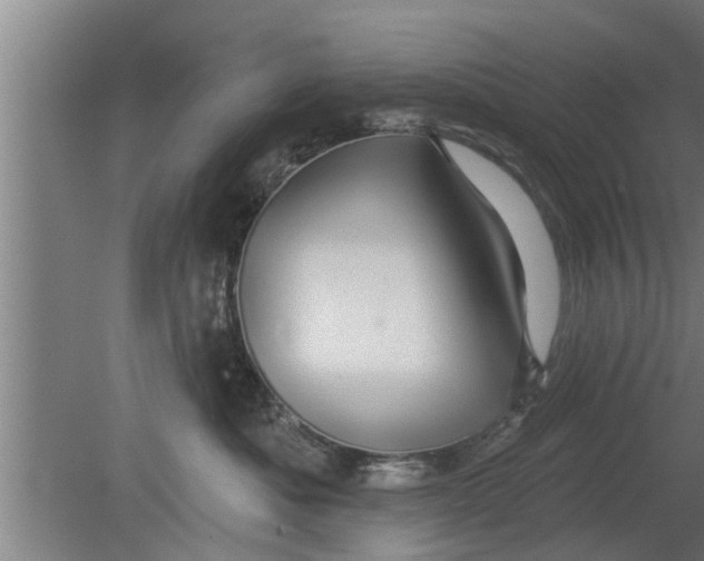 X0000080100525200612301921