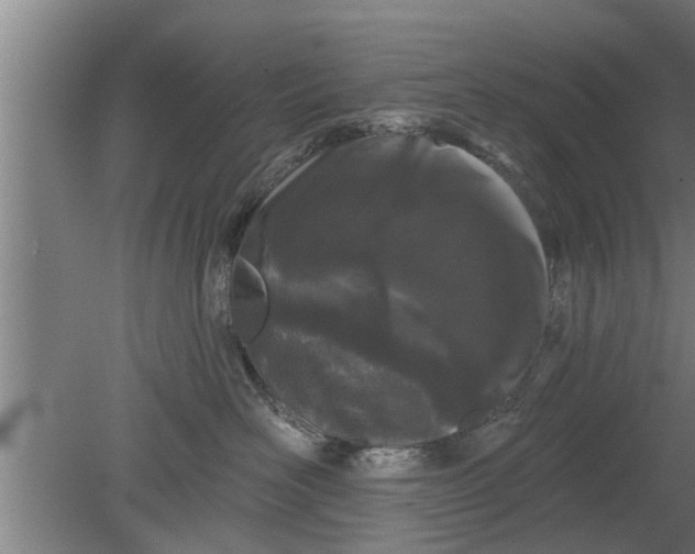 X0000080100526200612301921