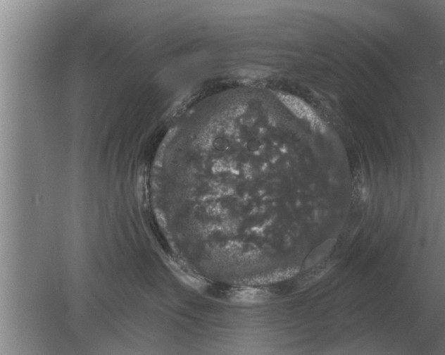 X0000080100527200612301921