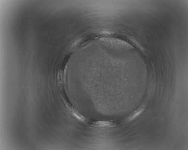 X0000080100528200612301921