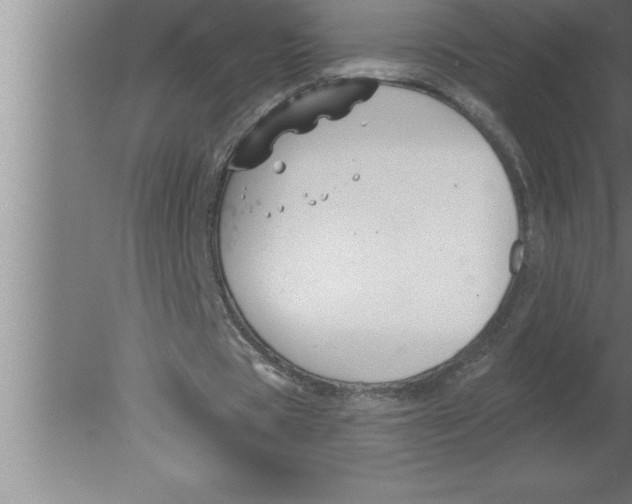 X0000080100529200612301920