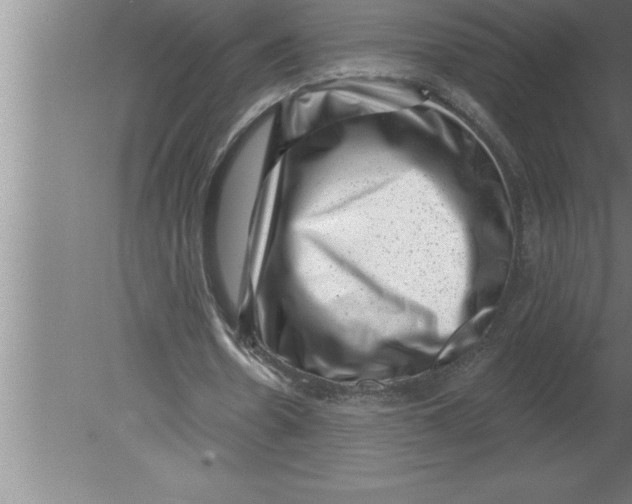 X0000080100530200612301920