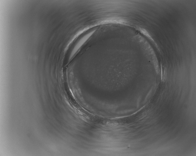 X0000080100531200612301920