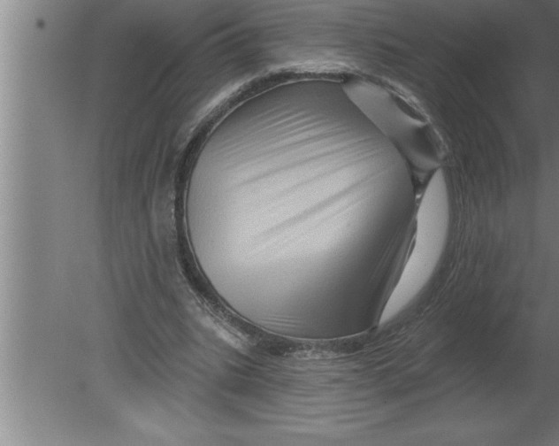 X0000080100535200612301920