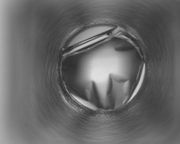 X0000080100538200612301920