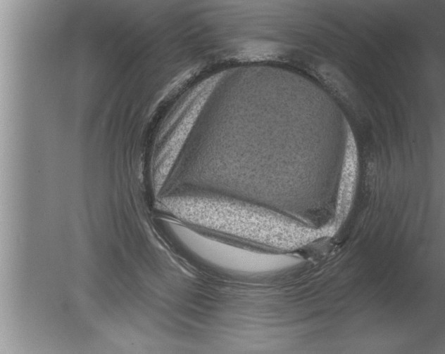 X0000080100539200612301920