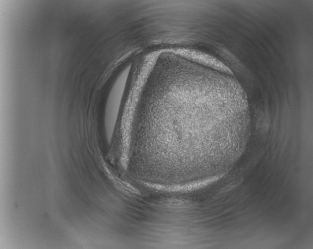 X0000080100542200612301920