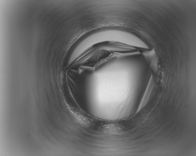 X0000080100544200612301920