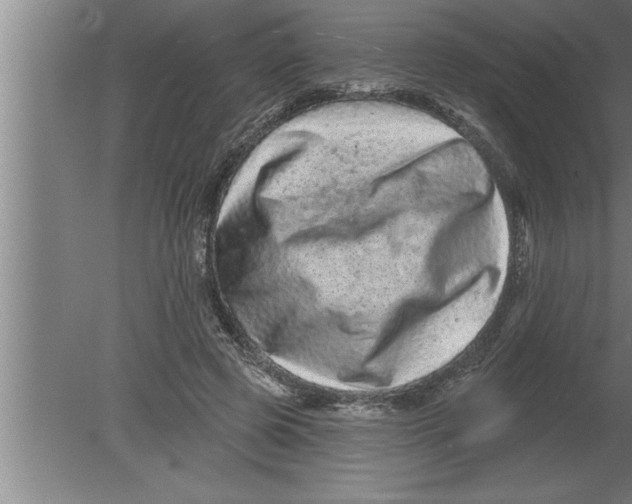 X0000080100545200612301920