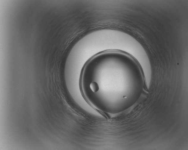 X0000080100546200612301920