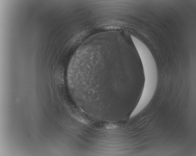 X0000080100547200612301920