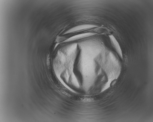 X0000080100549200612301920