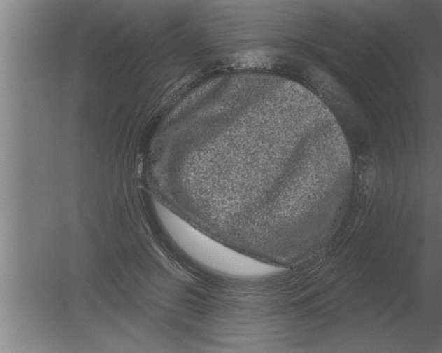 X0000080100550200612301920