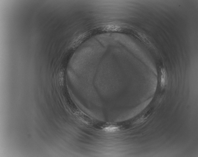 X0000080100551200612301920