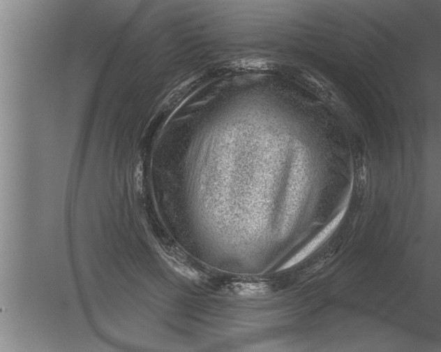 X0000080100552200612301920