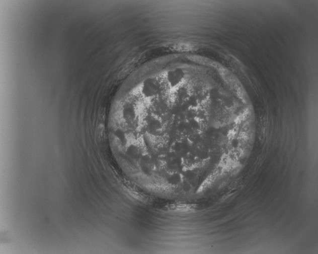 X0000080100553200612301920