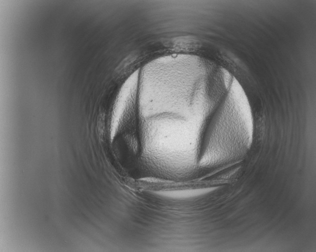 X0000080100554200612301921