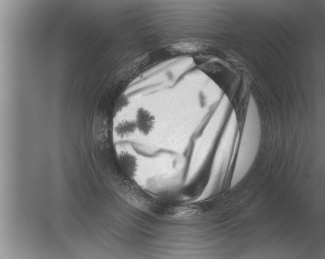 X0000080100555200612301921