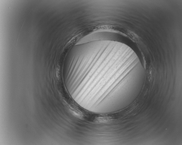 X0000080100556200612301921