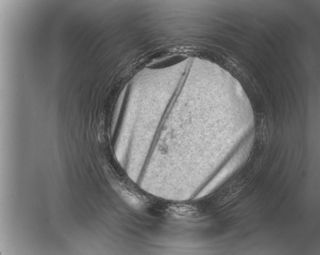 X0000080100557200612301921