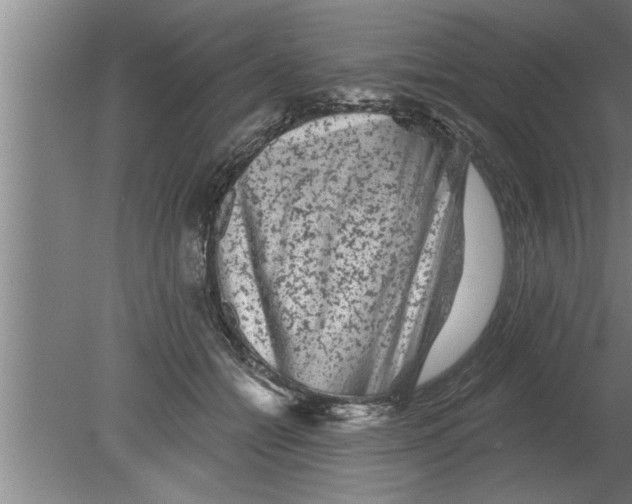 X0000080100558200612301921