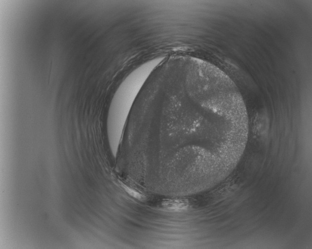 X0000080100559200612301921