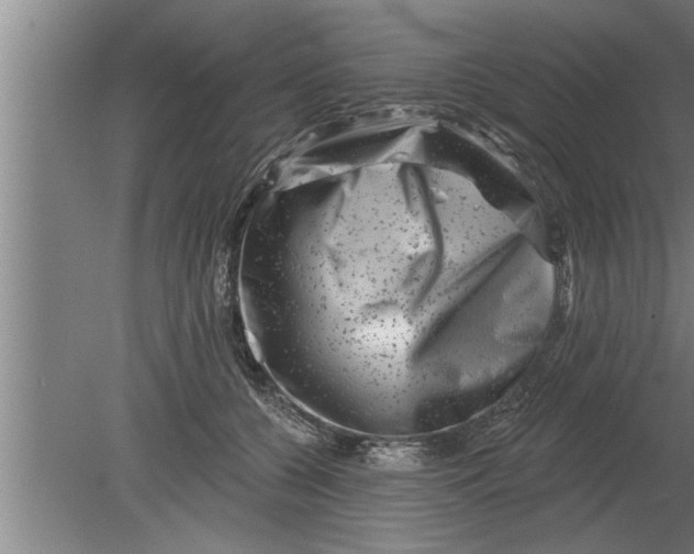 X0000080100560200612301921