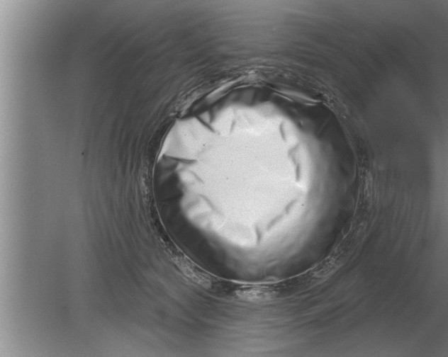 X0000080100561200612301921