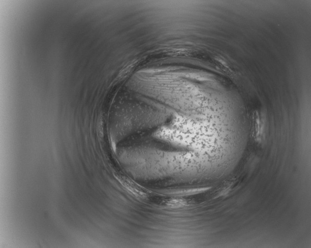 X0000080100562200612301921