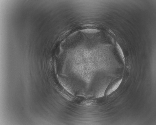 X0000080100563200612301921