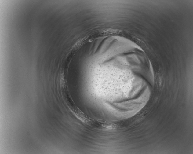 X0000080100564200612301921